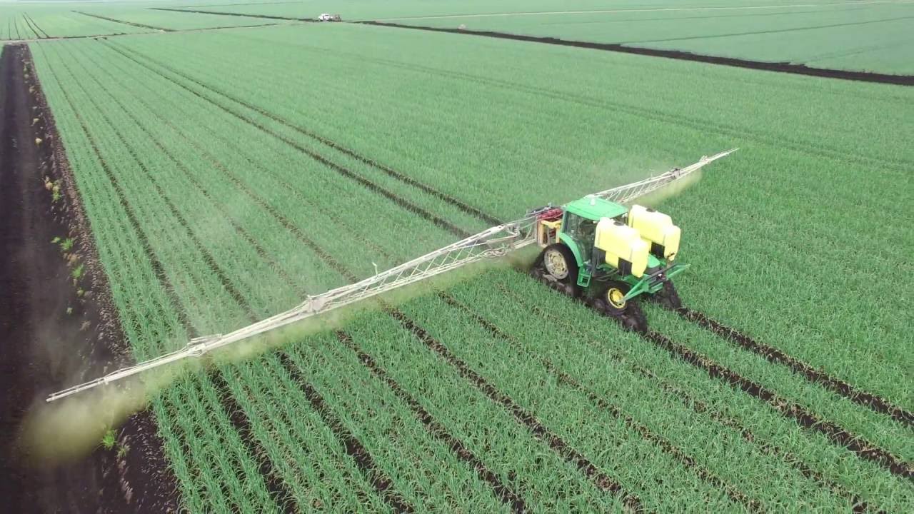 Tracked Sprayer, Spraying Onions
