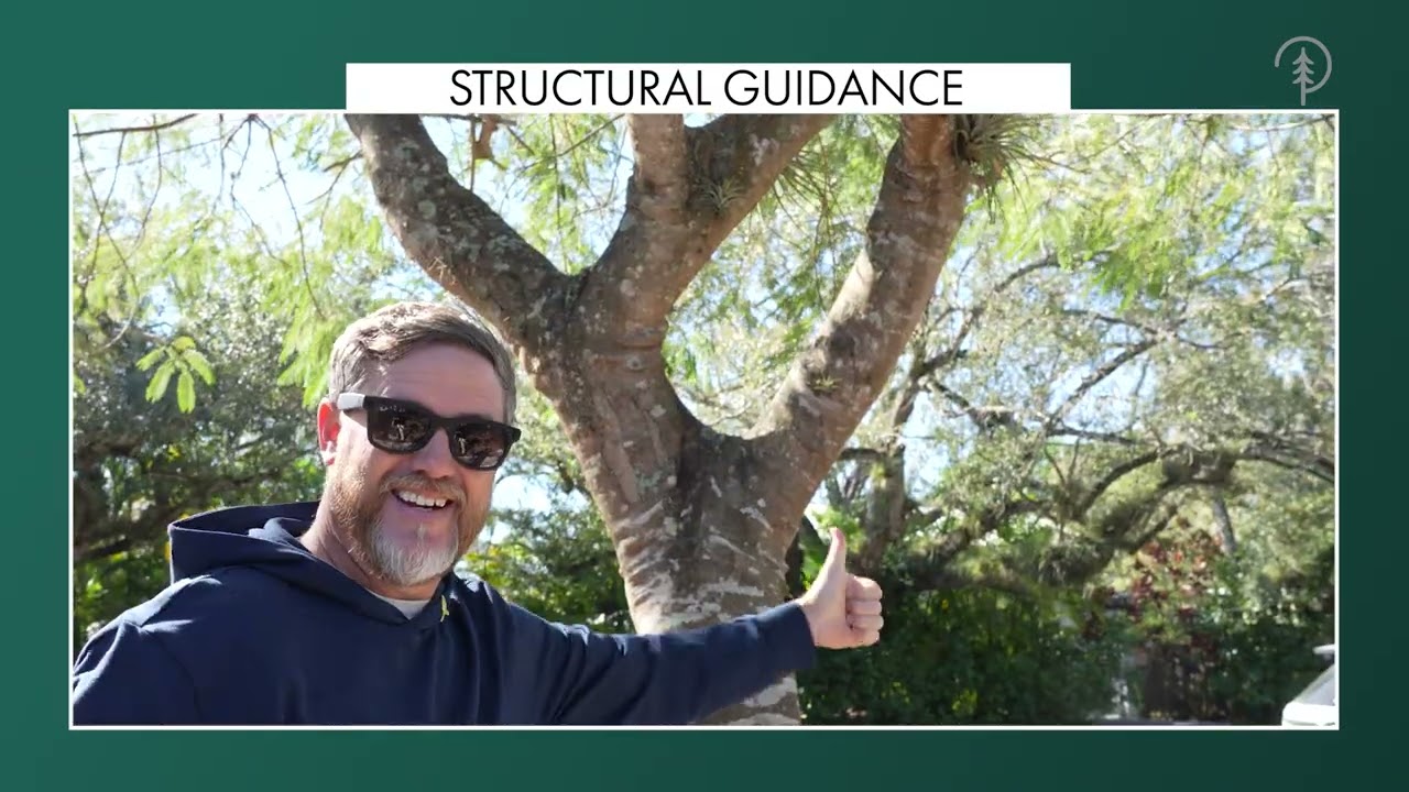 Working in Pinecrest? Landscaping Rules and Training You Need to Know