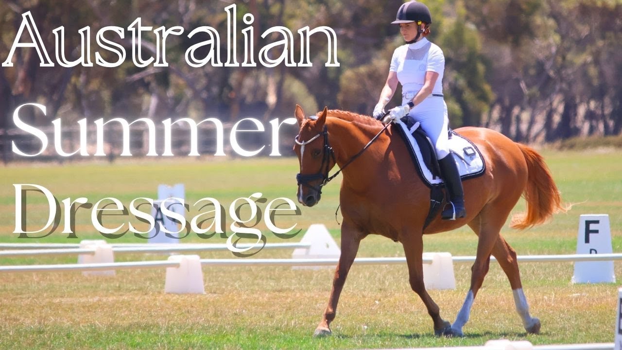 🇦🇺 Australian SUMMER DRESSAGE ☀️Prelim test 1.1 & 1.2 #equestrian #equestrainlife #horseenthusiast