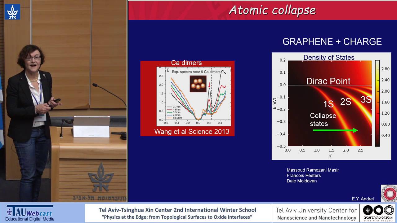 Electronic Properties of Defective Graphene