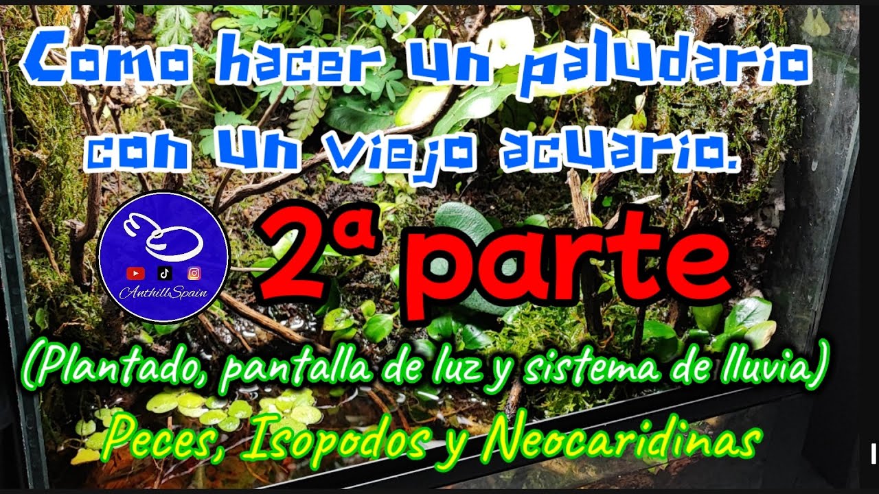Cómo hacer un paludario con un viejo acuario 2ª parte. (Pantalla de luz y sistema de lluvia)