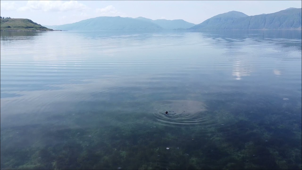 Drone view of Loch Linnhe Scotland July 2021