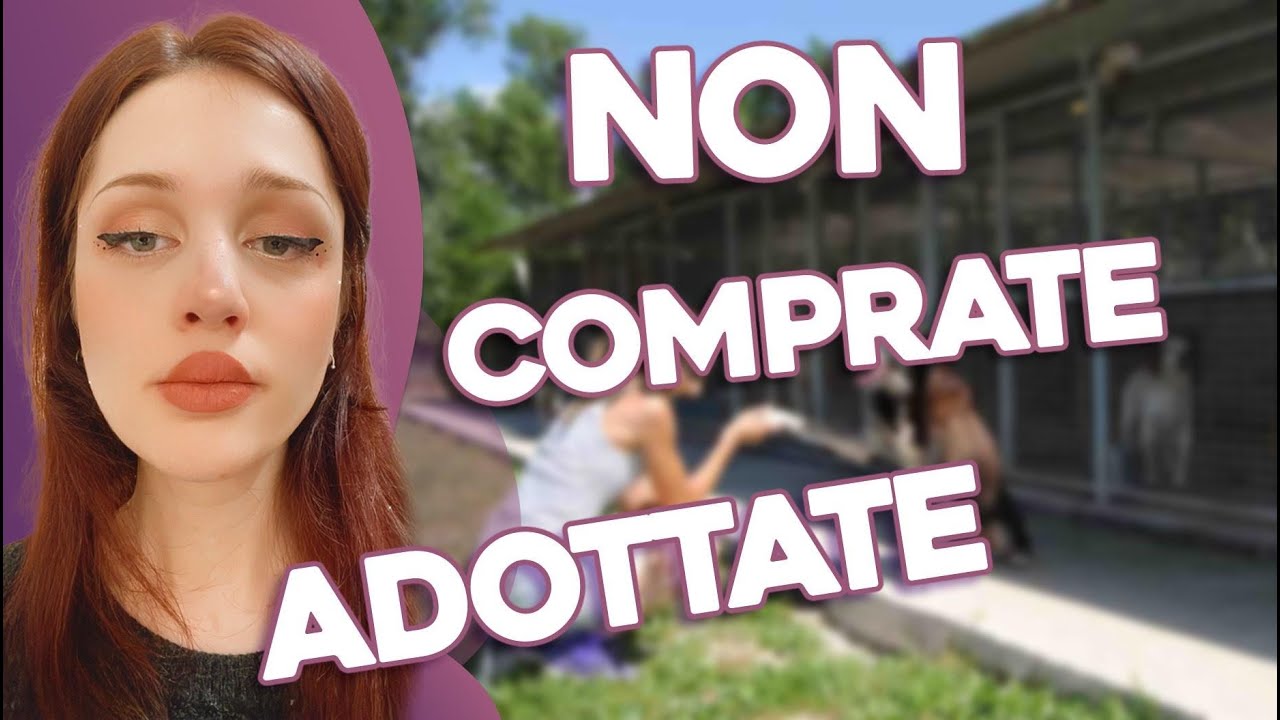 BASTA comprare ANIMALI