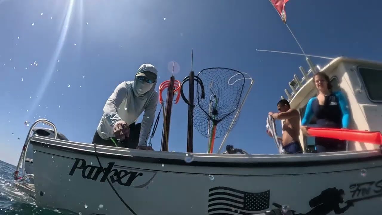 Spearfishing and Lobstering out of Port Everglades Inlet