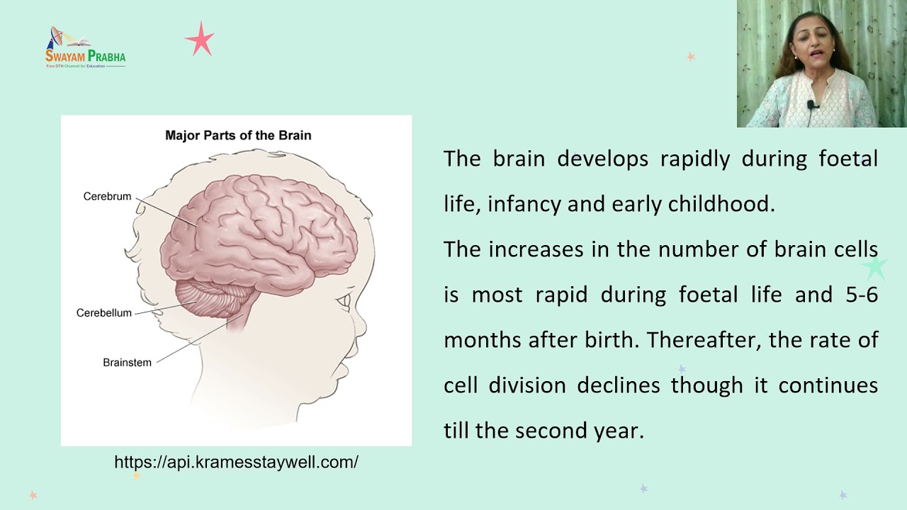 Physiological changes and nutritional requirements during infancy