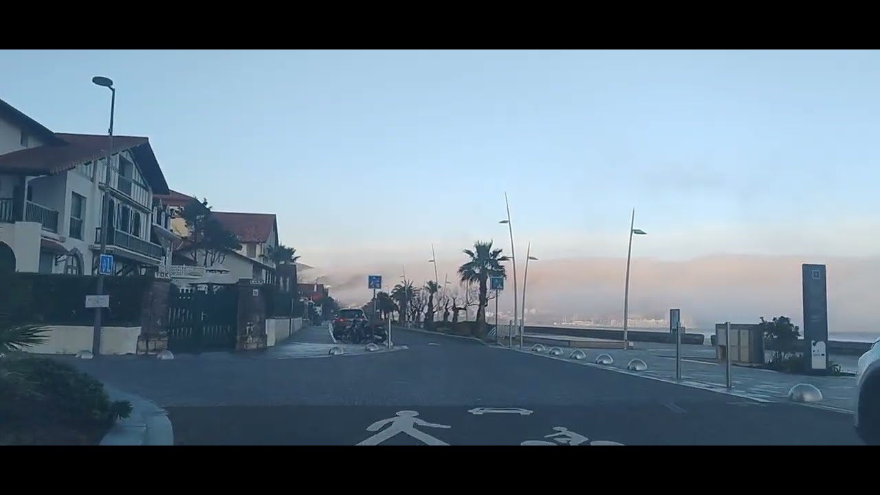 Driving frog, Ciboure Hendaye (France)