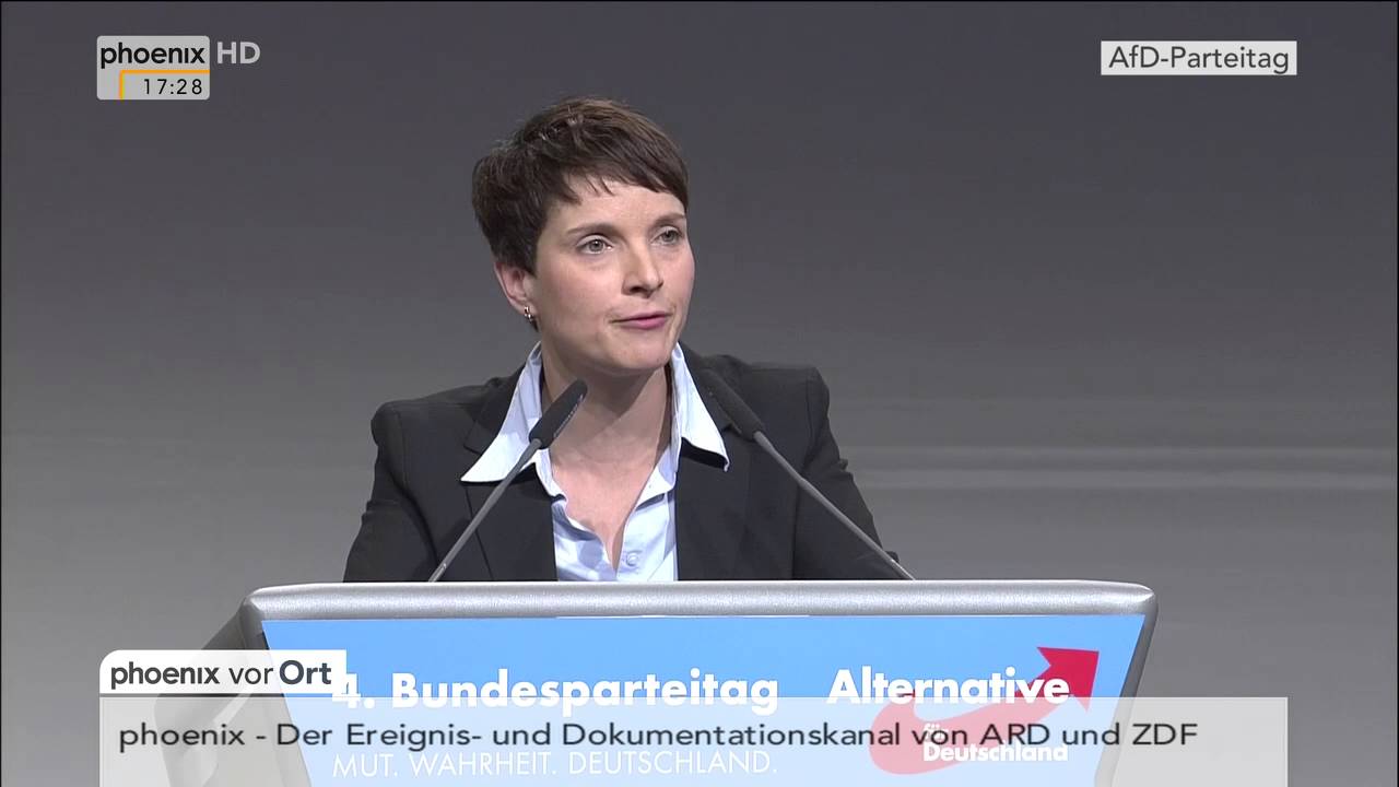 AfD-Parteitag in Hannover: Berichterstattung vom 29.11.2015
