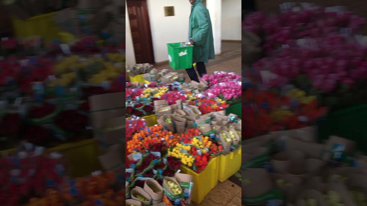 فواز هوساوي في أكبر مزرعة ورد في دولة كينيا