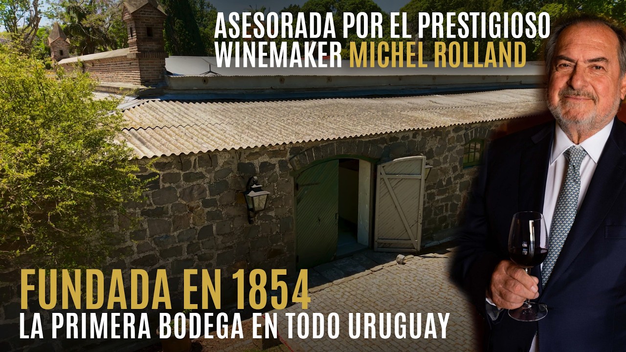 🍷 Enoturismo en Uruguay: bodega histórica con asesoramiento de Michel Rolland