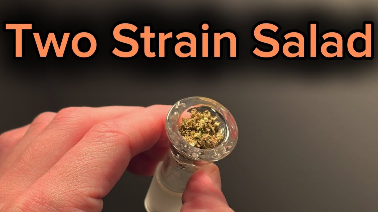 Mixing Two VERY Different Strains