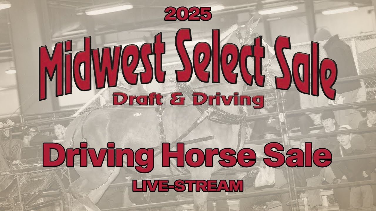 2025 Midwest Select Sale (Driving Horse Sale)
