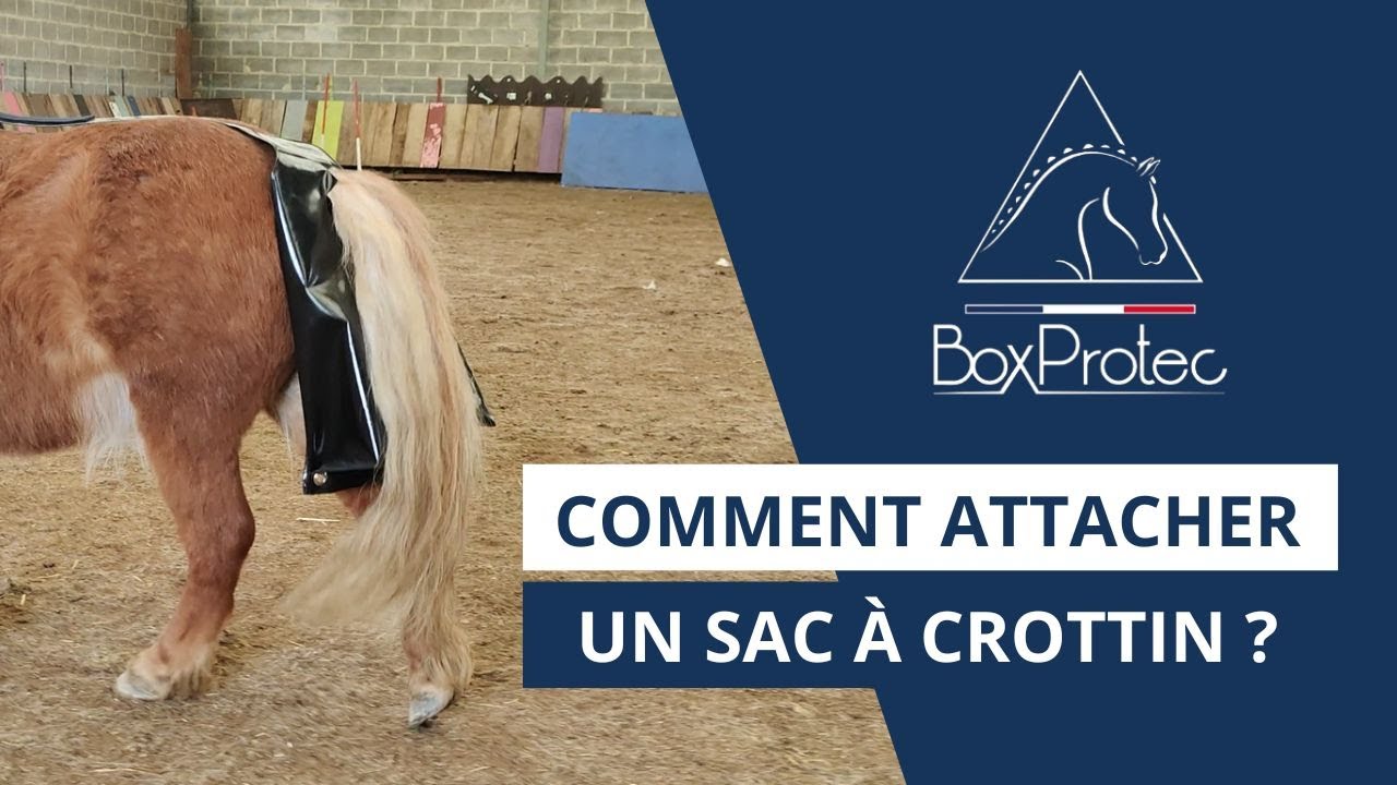 TUTORIEL - comment attacher un sac à crottin ?