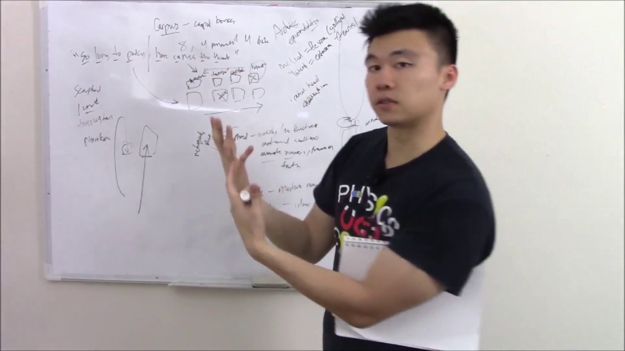 USMLE MSK 6: Upper Limb Anatomy and Pathology (Rotator Cuff, Carpal Tunnel and More!)