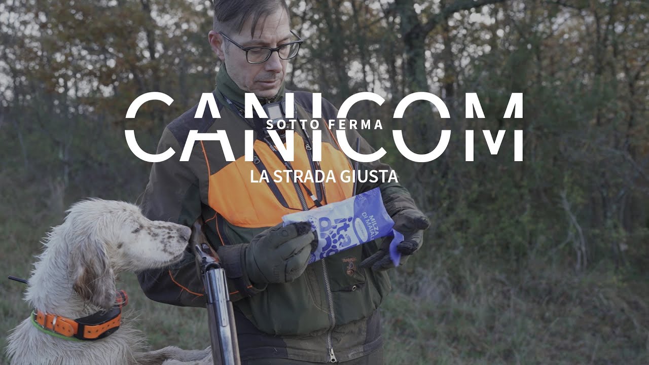 HUNTING WITH CANICOM | Sotto Ferma | La Strada Giusta