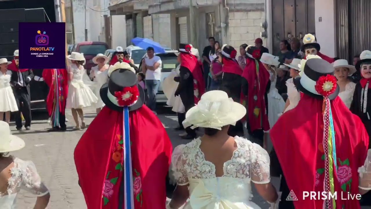 Carnaval Panotla 2026  presentación de la camada Panotla 2000 #panotlatv