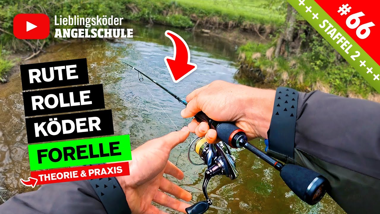 Die passende Angelausrüstung zum Forellenangeln 🐟 😍 🎣