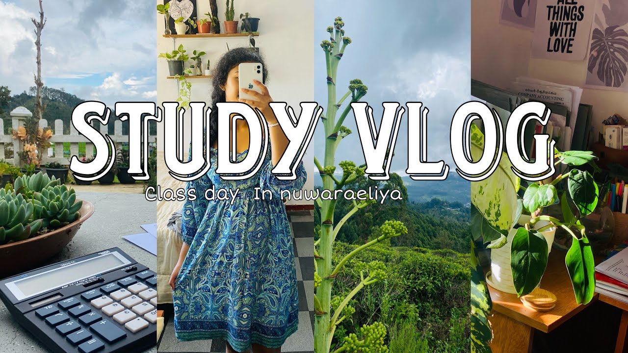 10 days study challenge|day06,07 |🌈🌿📚 full day  class දවසක පාඩම් කරමුද|busy class day vlog😮‍💨