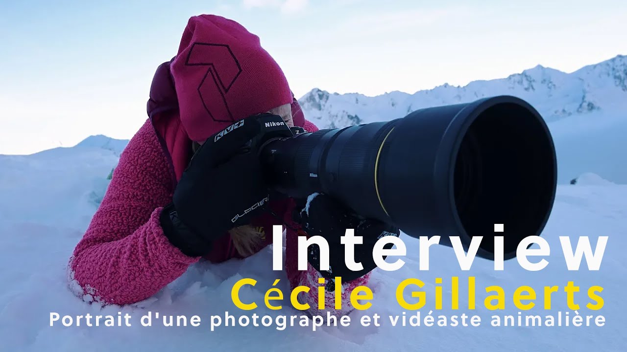 Cécile Gillaerts | Portrait d'une photographe et vidéaste animalière