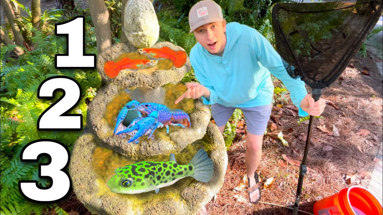 Catching *NEW* Exotic Fish for my DIY FOUNTAIN POND!! (3 LEVELS)