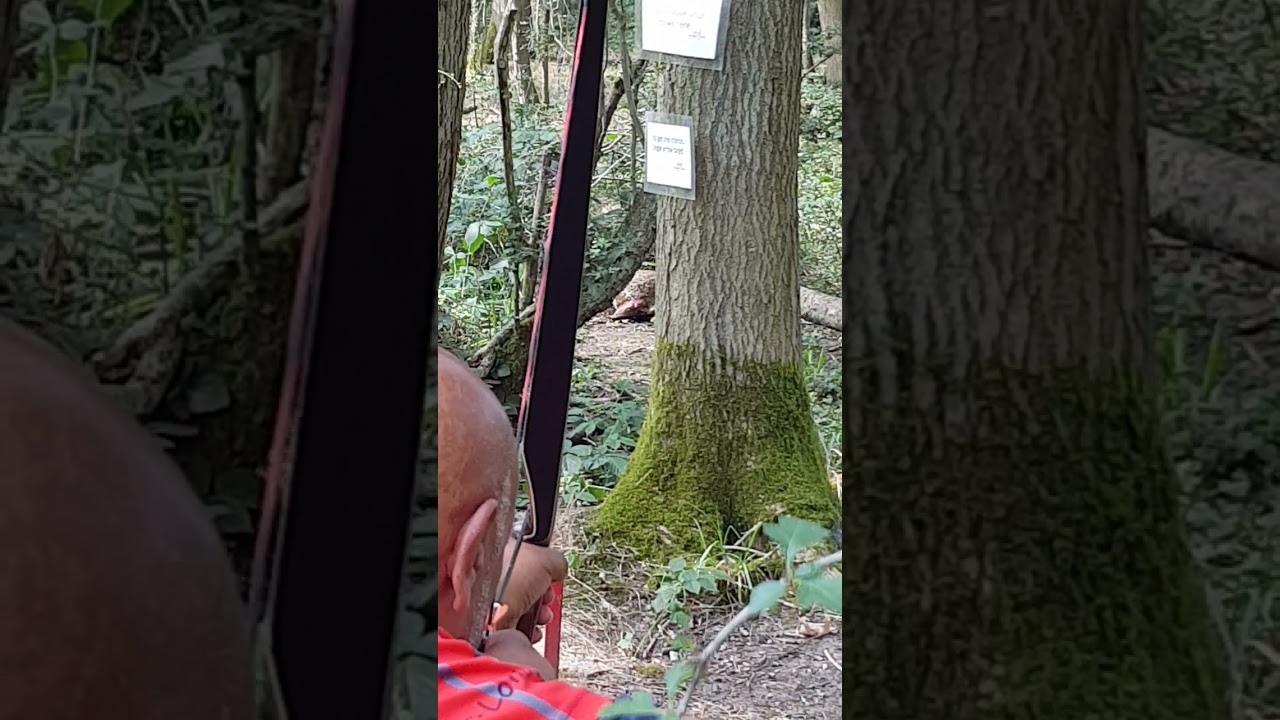 3d Rabbit Target - Traditional Triangle Hybrid Longbow.