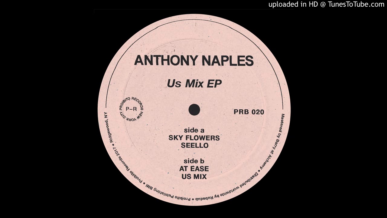 Anthony Naples - Sky Flowers