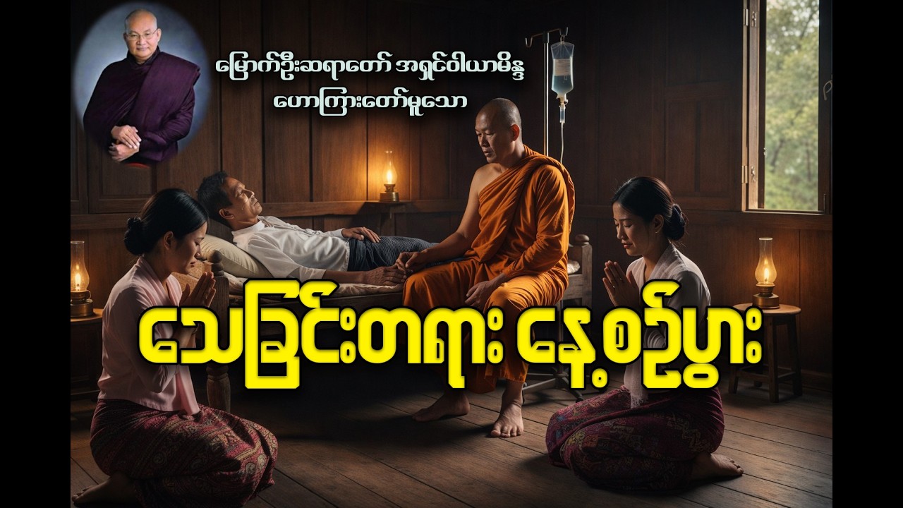 သေခြင်းတရား နေ့စဉ်ပွား #တရားတော်များ #buddhadhamma #motivation #quotes #love#lifequotes #history