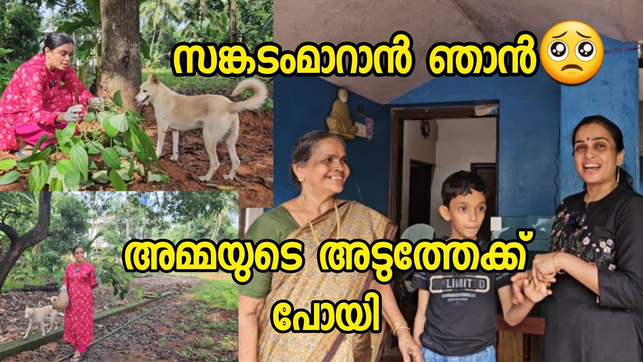 സങ്കടംമാറാൻ ഞാൻ അമ്മയുടെ അടുത്തേക്ക് പോയി