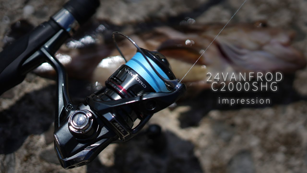 24ヴァンフォード実釣インプレ！リールレビューのはずが爆釣！？まさかの高級魚も釣れる最高の釣りに・・・