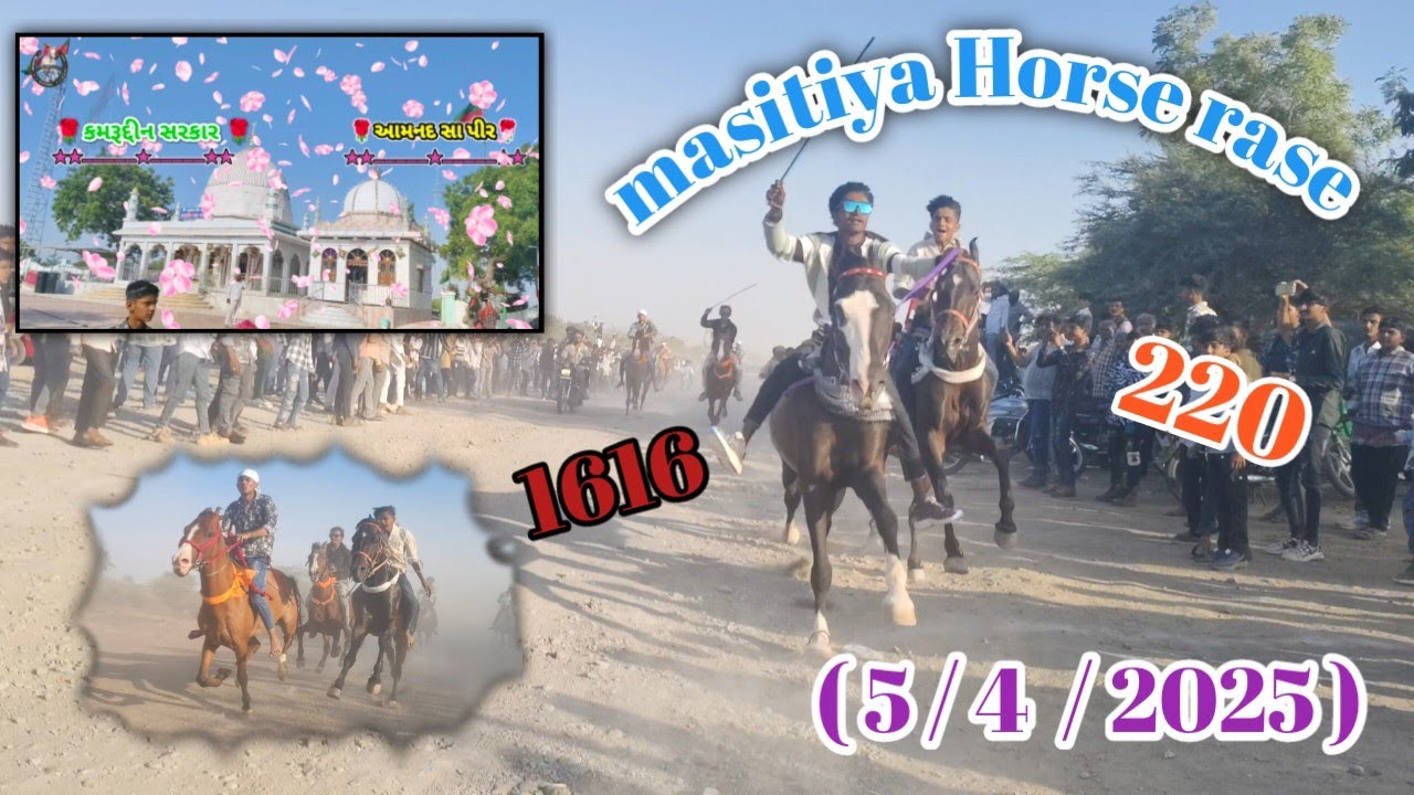 || 🌹कमरुद्दीन सरकार उर्स मुबारक💫 🌹|| 💫રાખી હુવિ ઘોડો કી રેસ💫 ||Jamnagar masitiya {  1616  vs 220 } 💫