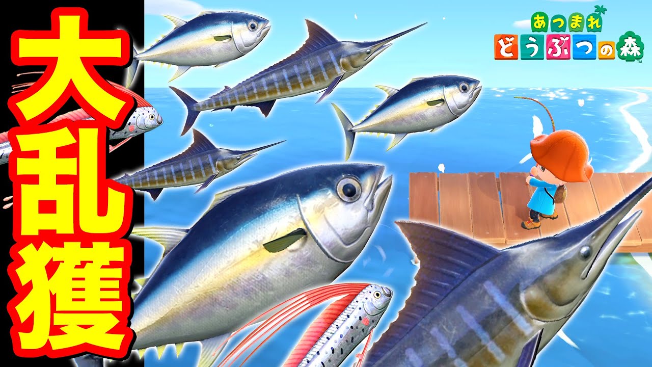 【あつ森】4月でさよならのマグロとカジキを乱獲した【あつまれ どうぶつの森】