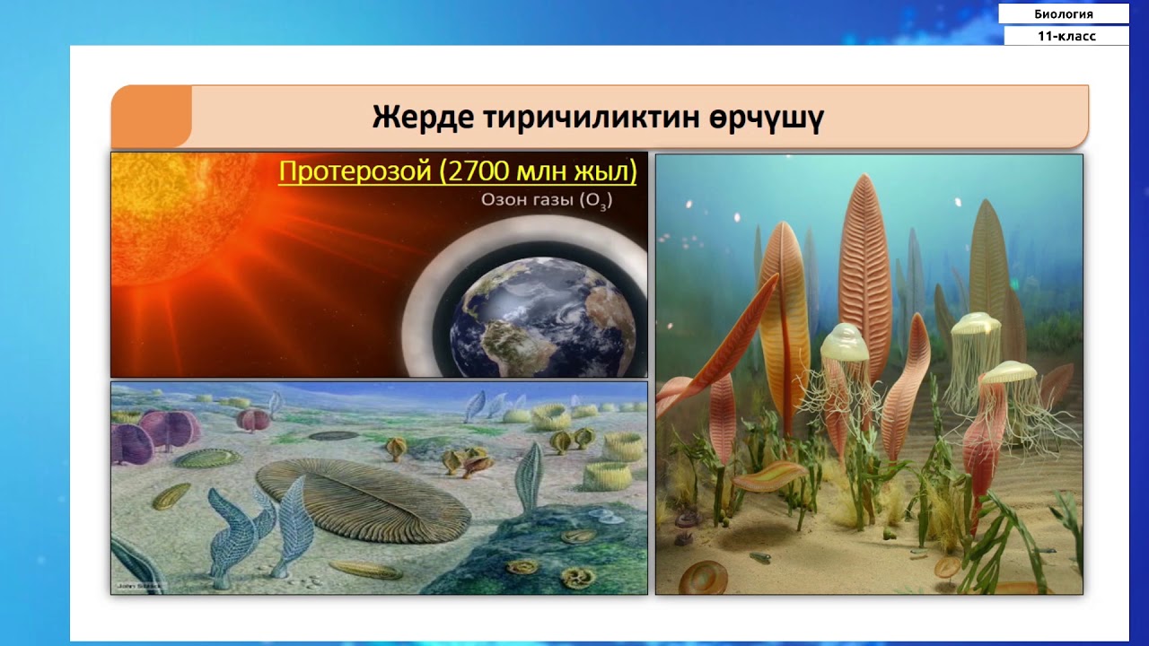 11-класс |  Биология |  Органикалык дүйнөнүн тарыхый өрчүшү