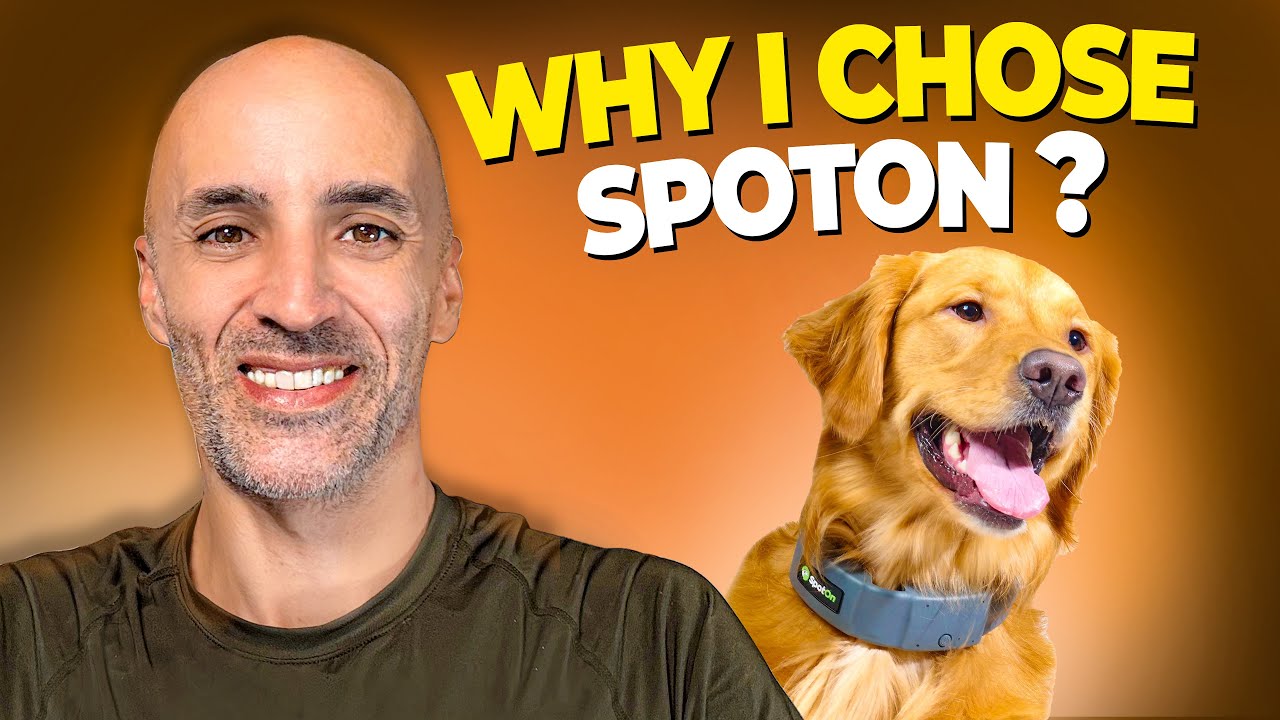 SpotOn GPS Dog Fence Review: Real Results After Spending $1000