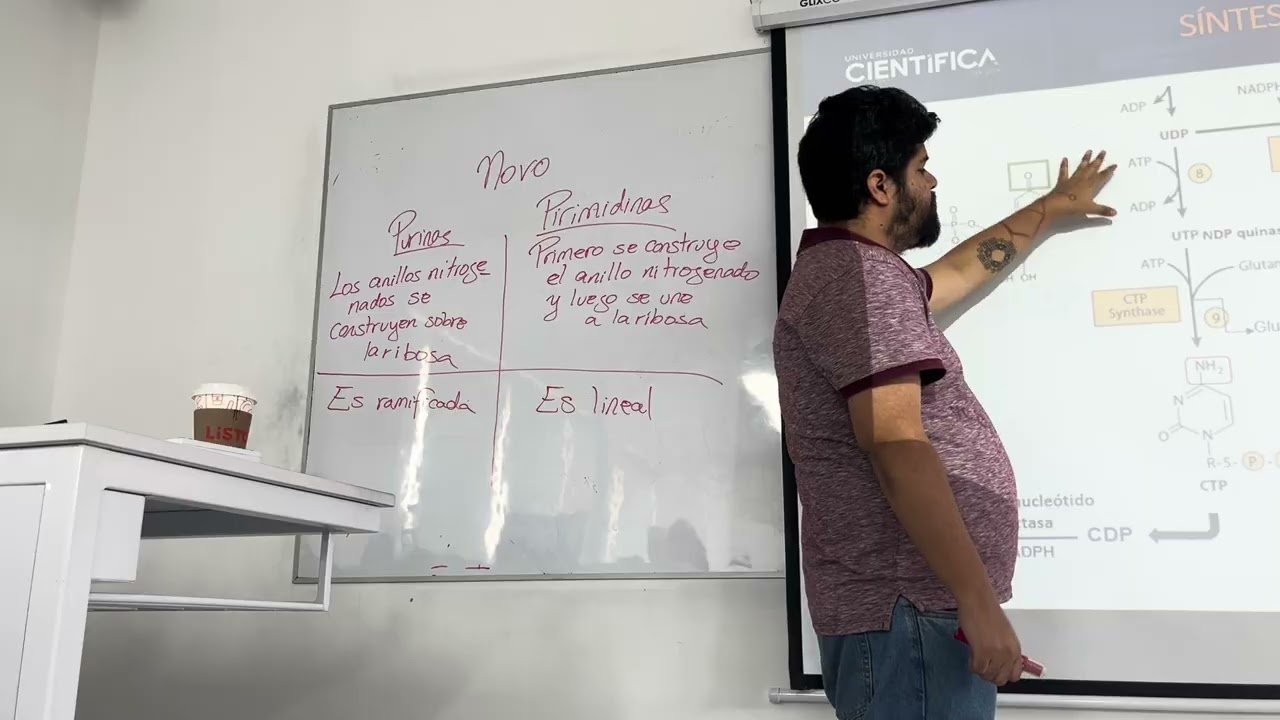 bioquímica 14 6