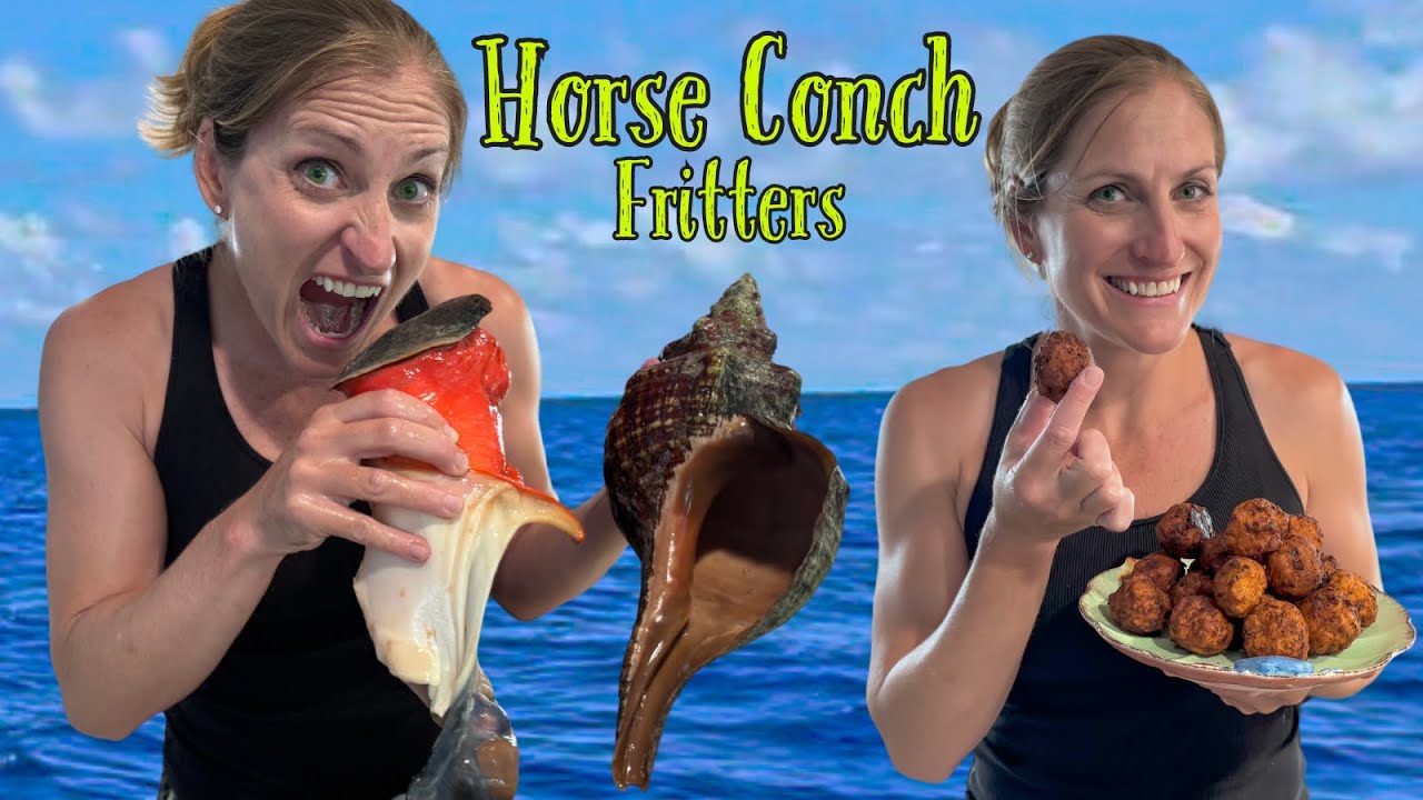 Horse Conch | Catch Clean & Cook | Complete Guide Florida Keys