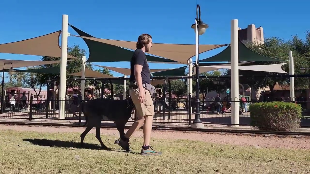 Suburban K9 Dog Training in Paradise Valley, Arizona!