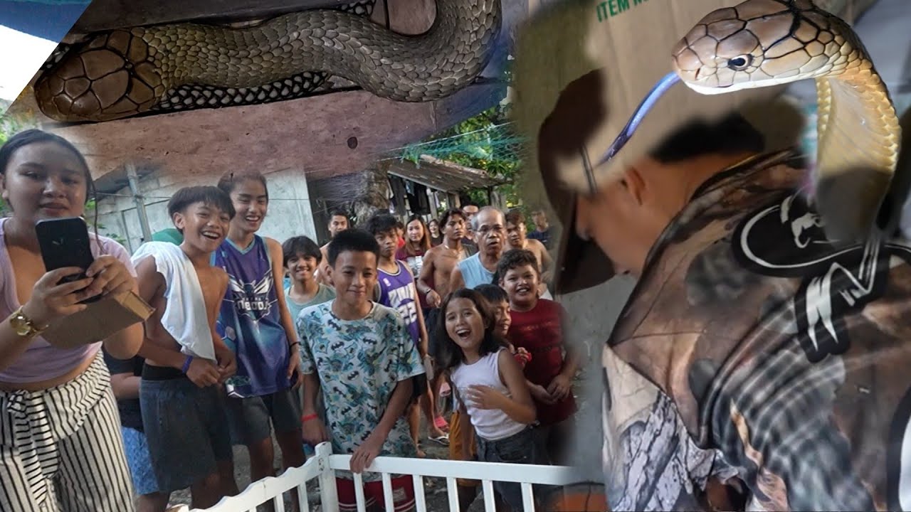 KING COBRA PUMASOK SA LOOBAN