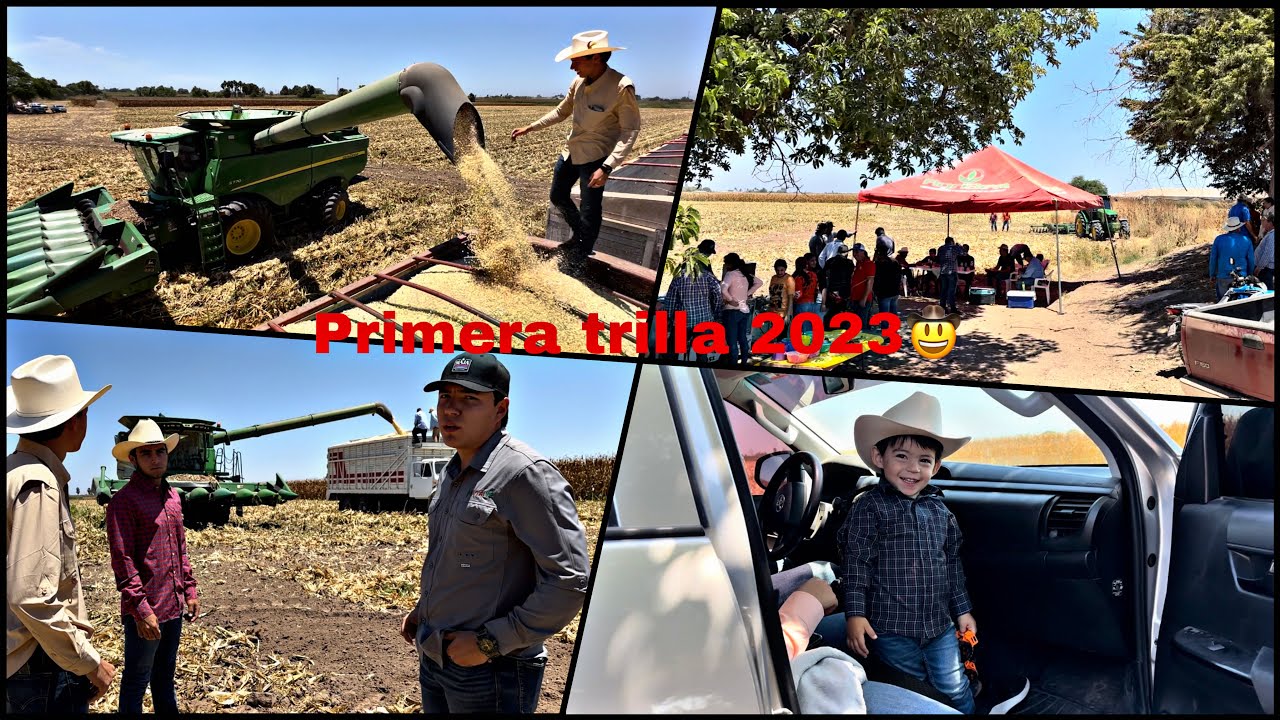 EMPEZAMOS LA PRIMERA TRILLA 2023 Y ASÍ LA PASAMOS CON ESTE CONVIVIO 🚜🌽(elmariomt)