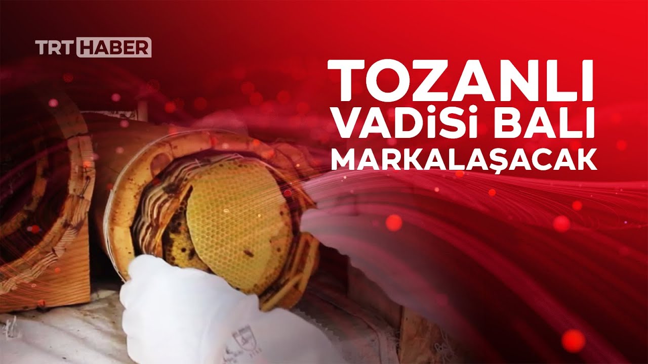 Sivas'ta 12 ton bal üretildi
