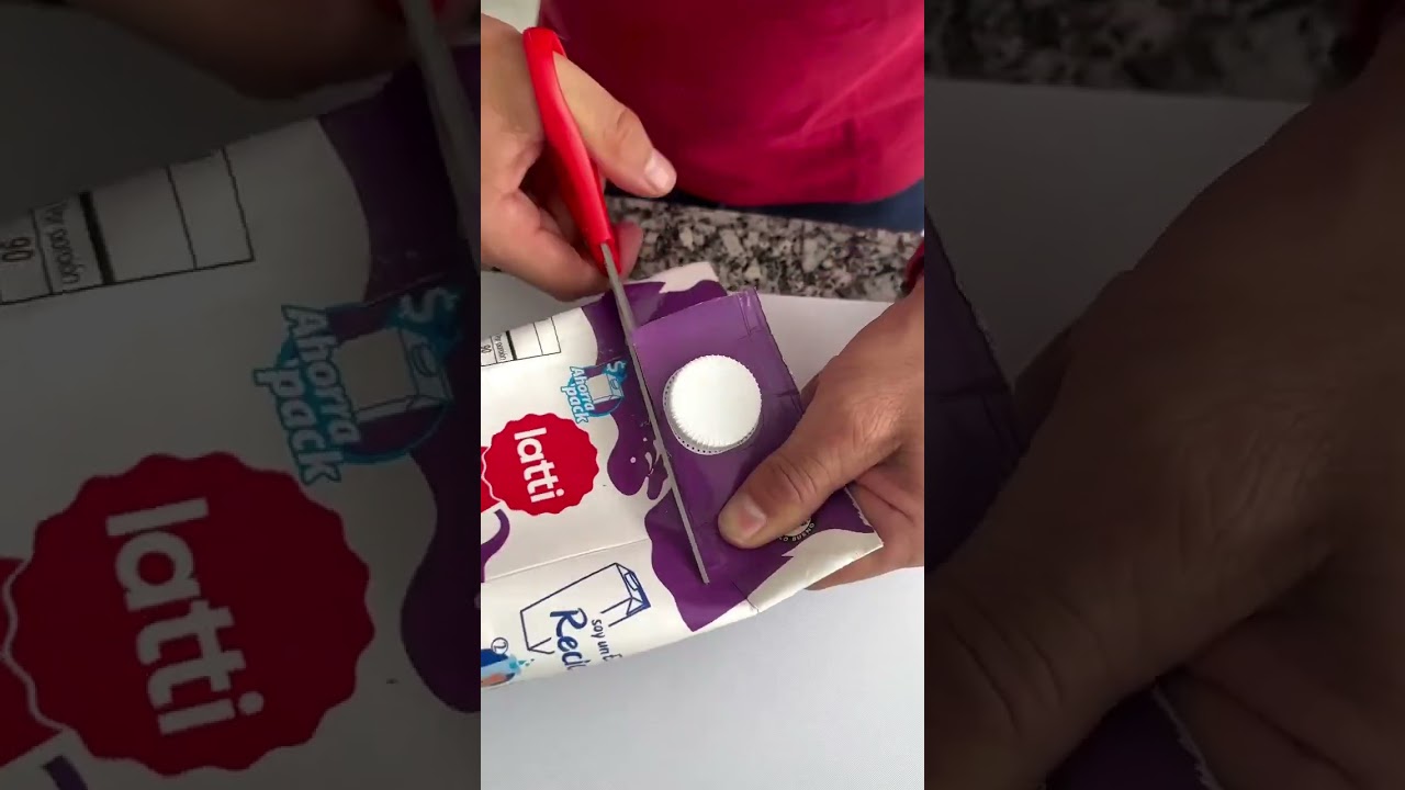 Vamos a reciclar, darle uso a tus cajas de leche 