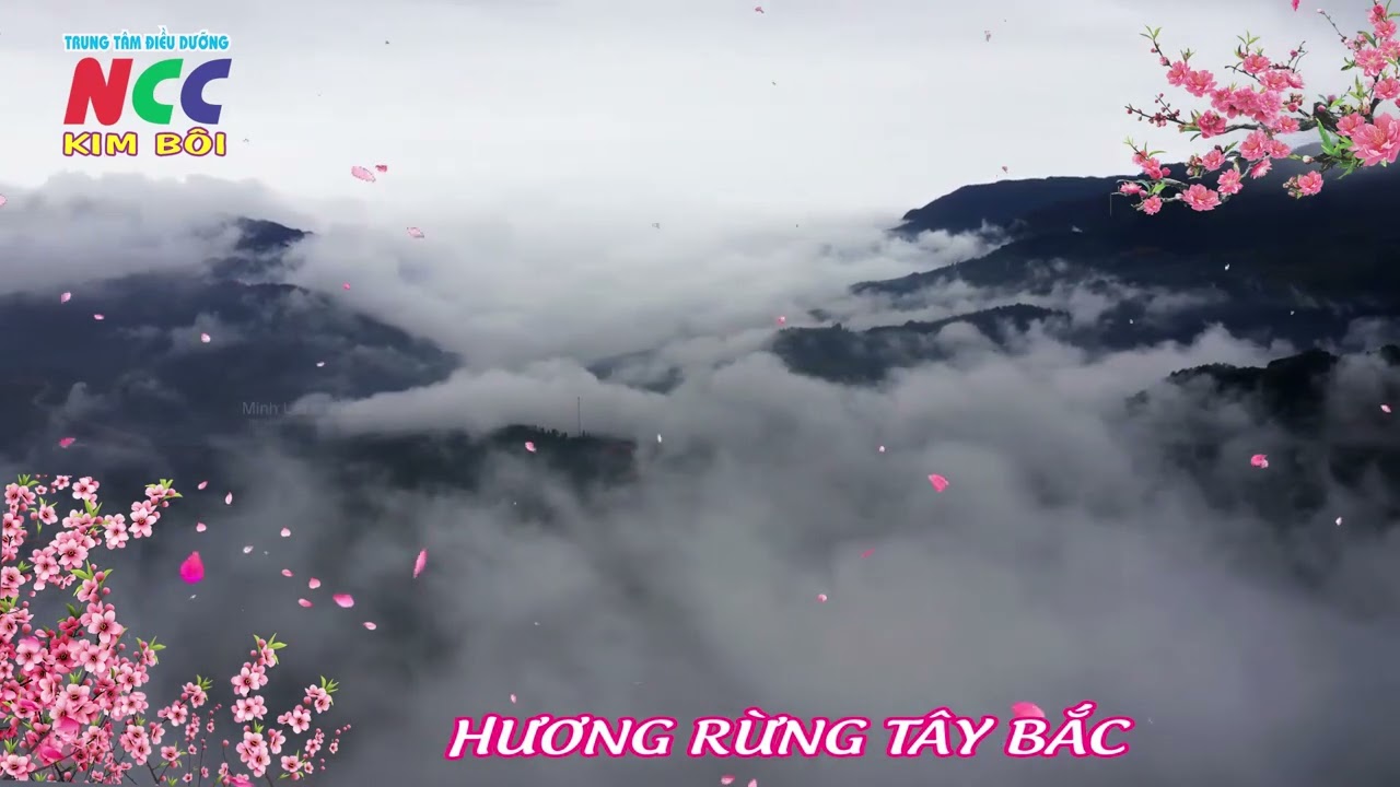 NHẠC BEAT MÚA HƯƠNG RỪNG TÂY BẮC