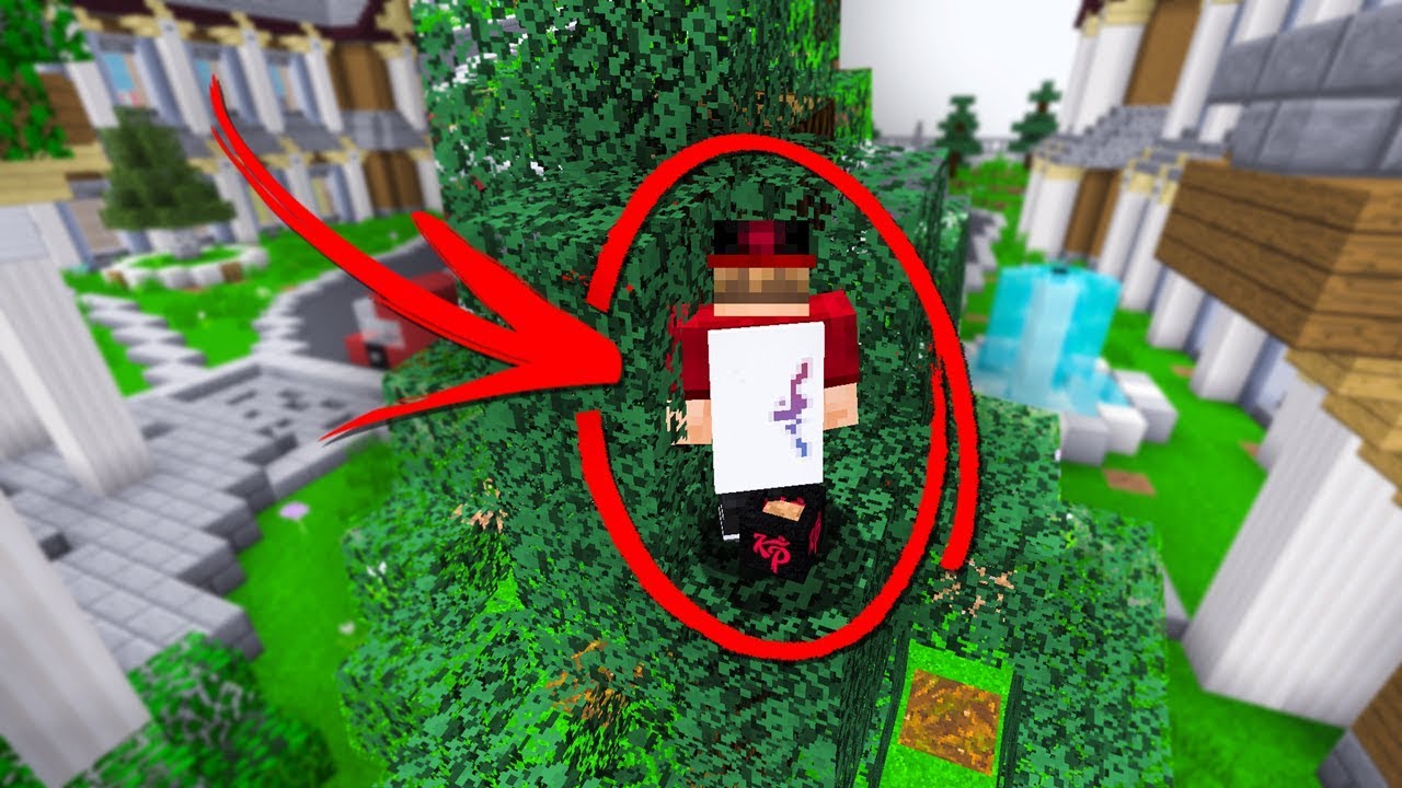DE BESTE PLEKKEN IN HIDE & SEEK!