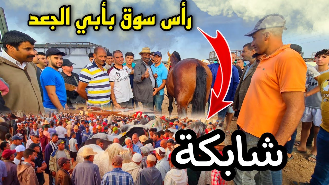 صدمني😲خميس ابي الجعد اليوم تبارك الله كاين خيول كثيرة فسوق . بادريس شرا جدع مالكي ب2 ملاين ونص 🤔💯😍
