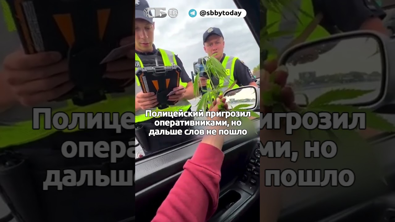 Украинка коноплю предлагает полицейским в Харькове и не боится!