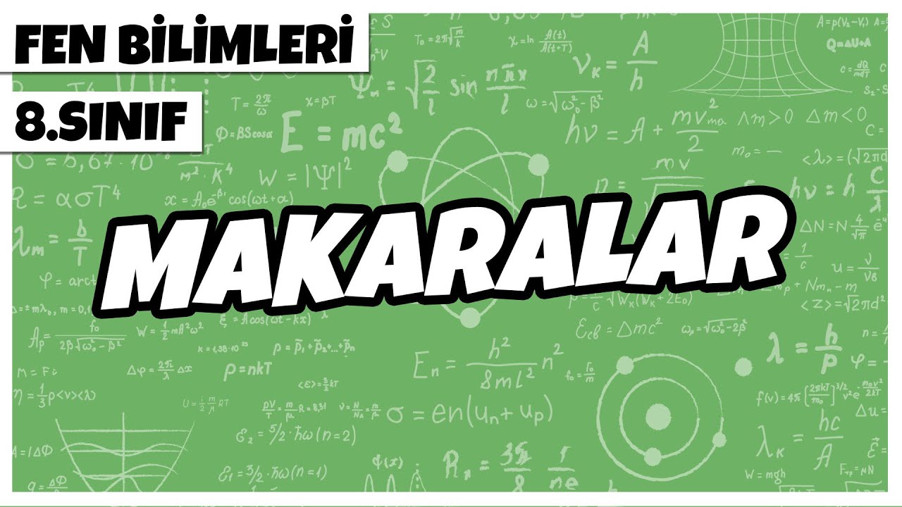 8. Sınıf Fen Bilimleri - Makaralar | 2022