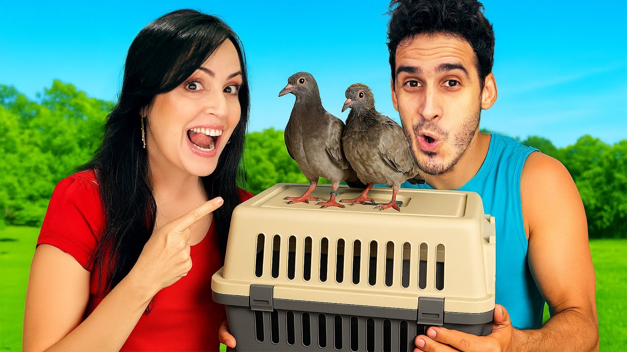 Listos para dejar el Nido ? Los Pichones de Paloma Llegan a La Finquita Bonita 🕊️