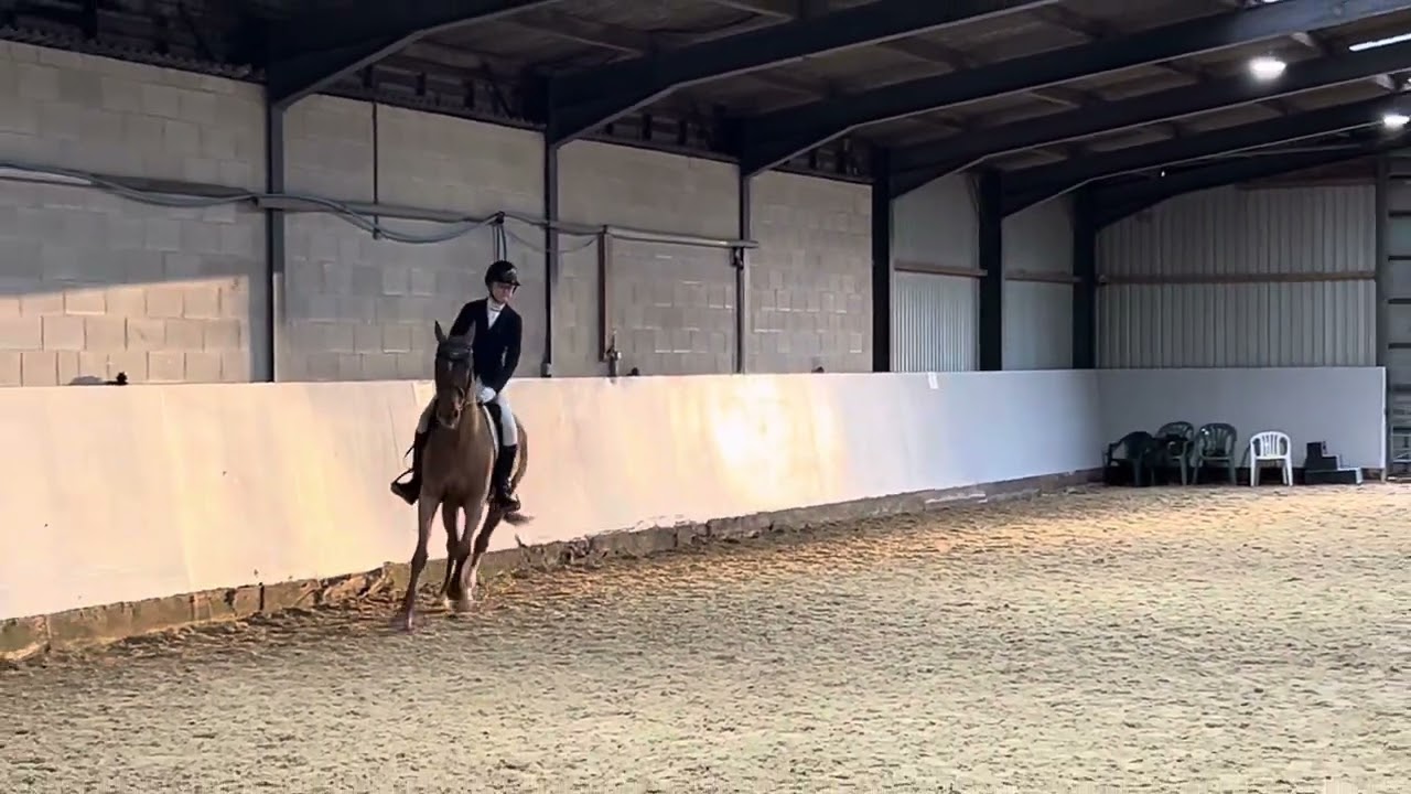 NSEA-November 2025-dressage-class 3-prelim 2 (2024) -  Lily and Ridge Cross Lad 