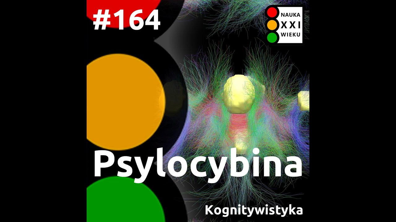 #164 - Psylocybina