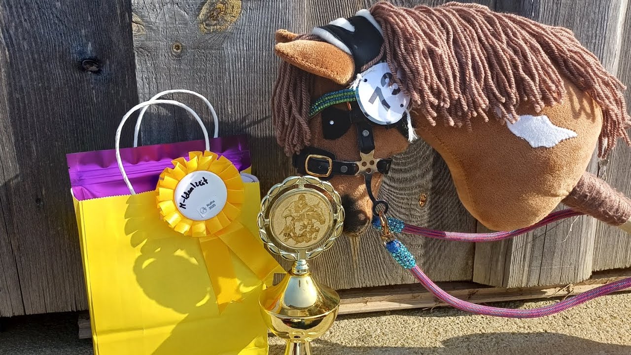 Hobby Horse Turnier Rutha-Cup #hobbyhorse #hobbyhorsing #sport  #turnier #kht #shorts