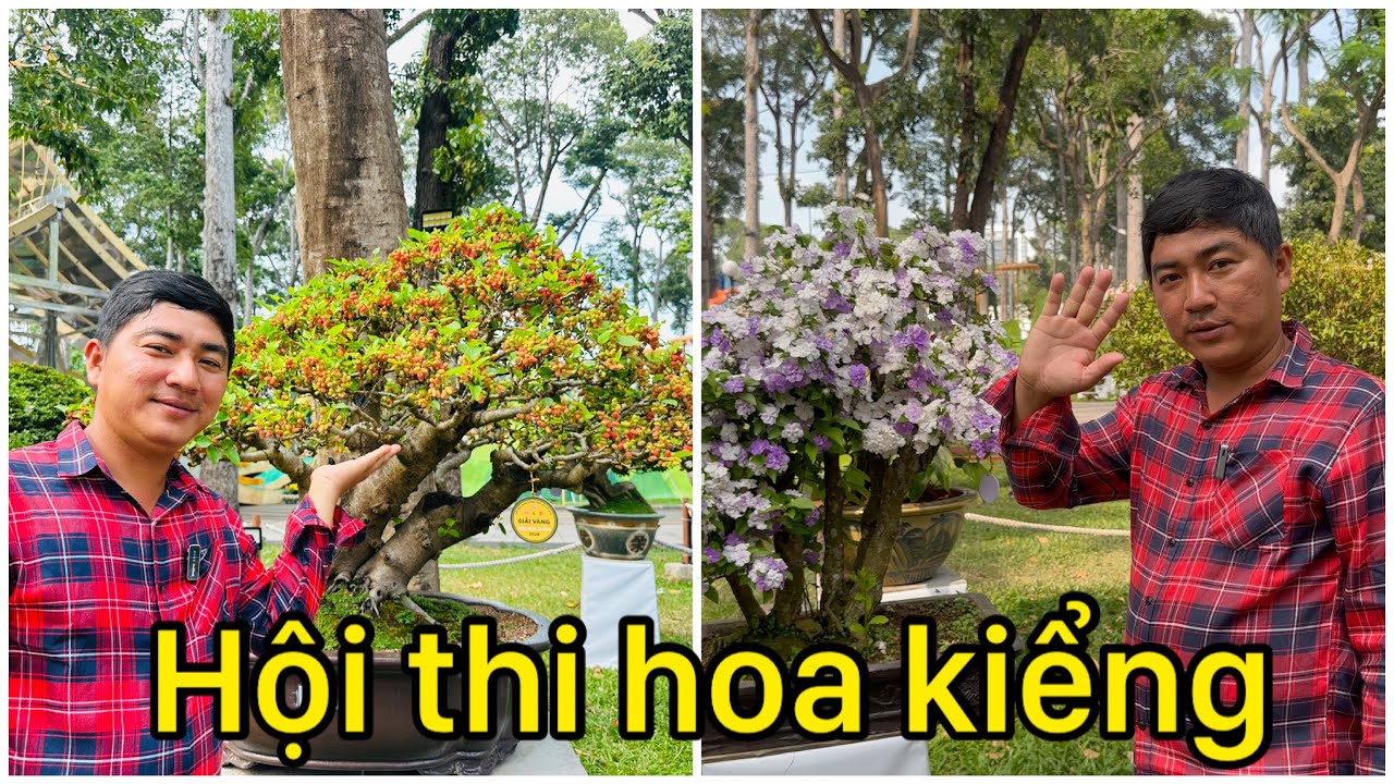 Hội thi Công viên Tao Đàn năm 2026 khu vực Hoa Kiểng| 0386569374 - Ngọc Ngân Bến Tre 