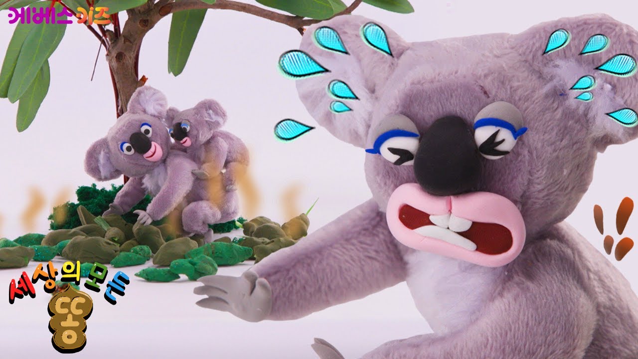 엄마 코알라 똥을 먹는 아기 코알라?!ㅣ코알라는 뭘 먹고 어떤 똥을 쌀까?ㅣ세상의 모든 똥ㅣKBS 211208 방송